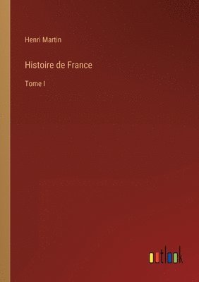 bokomslag Histoire de France