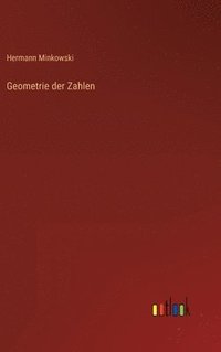 bokomslag Geometrie der Zahlen