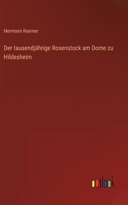 Der tausendjhrige Rosenstock am Dome zu Hildesheim 1