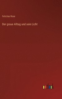 bokomslag Der graue Alltag und sein Licht