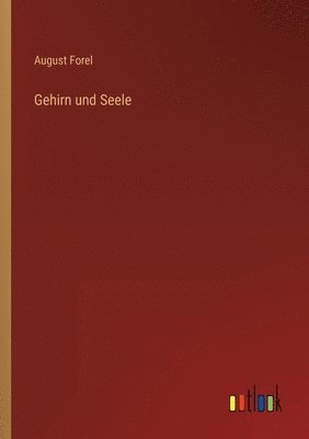 bokomslag Gehirn und Seele