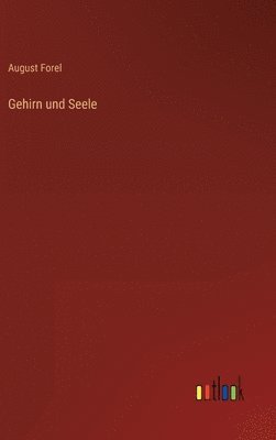 bokomslag Gehirn und Seele