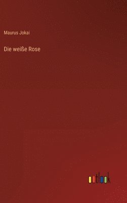weiße Rose
