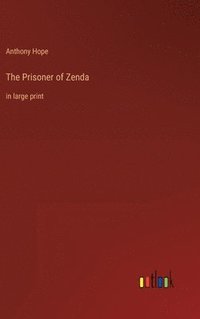bokomslag Prisoner of Zenda