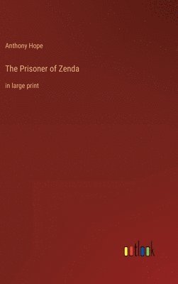 bokomslag Prisoner of Zenda