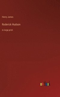 bokomslag Roderick Hudson