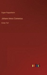 bokomslag Johann Amos Comenius