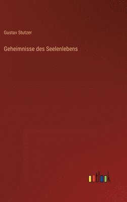 bokomslag Geheimnisse des Seelenlebens