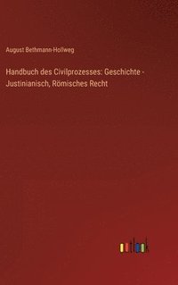 bokomslag Handbuch des Civilprozesses