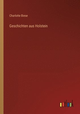 bokomslag Geschichten aus Holstein