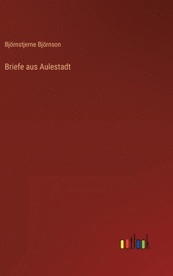 bokomslag Briefe aus Aulestadt