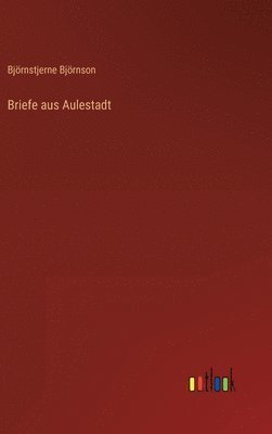 bokomslag Briefe aus Aulestadt