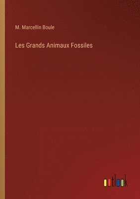 bokomslag Les Grands Animaux Fossiles