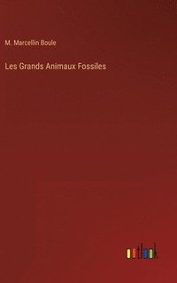 bokomslag Les Grands Animaux Fossiles