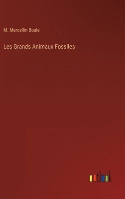 bokomslag Les Grands Animaux Fossiles