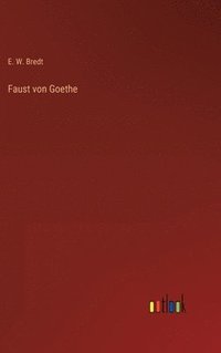bokomslag Faust von Goethe