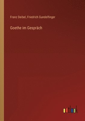bokomslag Goethe im Gesprch