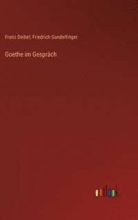bokomslag Goethe im Gesprch