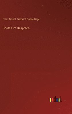 bokomslag Goethe im Gesprch