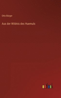 bokomslag Aus der Wildnis des Huemuls