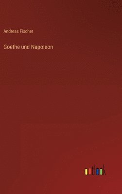 bokomslag Goethe und Napoleon