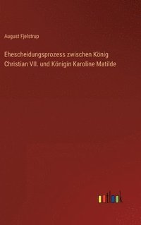 bokomslag Ehescheidungsprozess zwischen Knig Christian VII. und Knigin Karoline Matilde