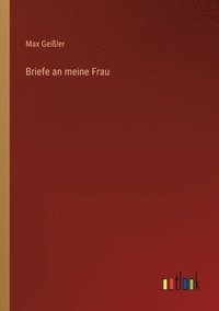 bokomslag Briefe an meine Frau