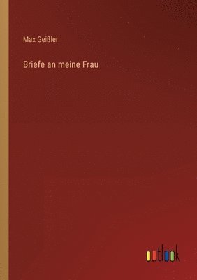bokomslag Briefe an meine Frau