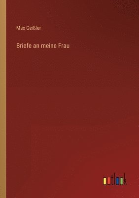 bokomslag Briefe an meine Frau