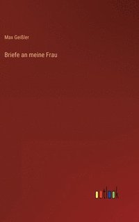 bokomslag Briefe an meine Frau