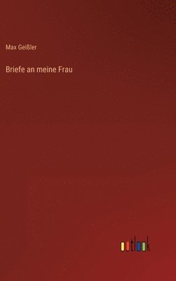 bokomslag Briefe an meine Frau