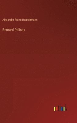bokomslag Bernard Palissy