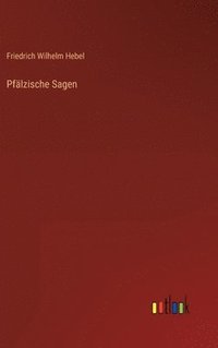 bokomslag Pfälzische Sagen