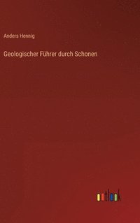 bokomslag Geologischer Fhrer durch Schonen