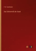 bokomslag Das Geheimniß der Stadt