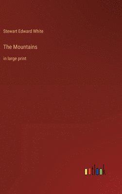 The Mountains 1