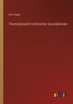 Thermodynamik technischer Gasreaktionen