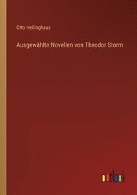 bokomslag Ausgewhlte Novellen von Theodor Storm