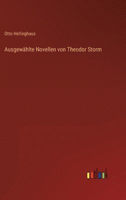bokomslag Ausgewhlte Novellen von Theodor Storm
