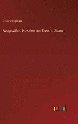 Ausgewählte Novellen von Theodor Storm