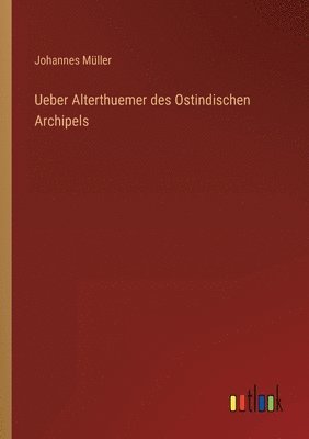bokomslag Ueber Alterthuemer des Ostindischen Archipels