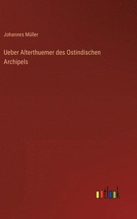 bokomslag Ueber Alterthuemer des Ostindischen Archipels
