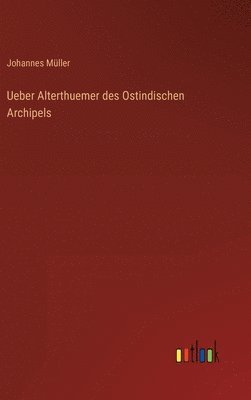 bokomslag Ueber Alterthuemer des Ostindischen Archipels