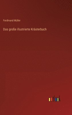 bokomslag Das groe illustrierte Kruterbuch