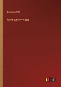 bokomslag Wendische Weiden