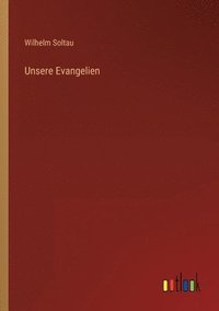 bokomslag Unsere Evangelien