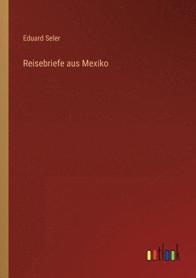 bokomslag Reisebriefe aus Mexiko