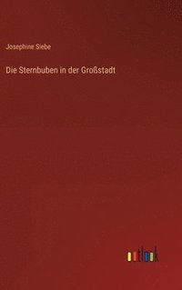 bokomslag Die Sternbuben in der Grostadt