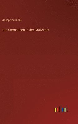 Die Sternbuben in der Grostadt 1