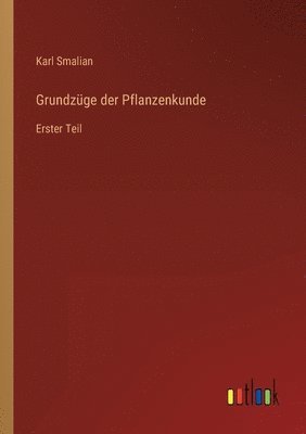 bokomslag Grundzge der Pflanzenkunde